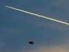 IMGP6582