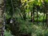 120805-(1)-kopia