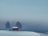 Månadens bild mars 2013