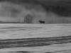 Månadens bild februari 2013