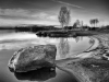 Månadens bild november 2014