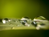 Månadens bild maj 2012